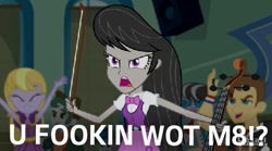 Size: 479x266 | Tagged: safe, octavia melody, equestria girls, british, caption, image macro, meme, text, u wot m8, vulgar