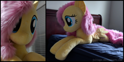 Size: 3000x1500 | Tagged: safe, artist:joltage, fluttershy, pegasus, pony, female, irl, life size, mare, photo, plushie, prone, solo, spread wings, wings