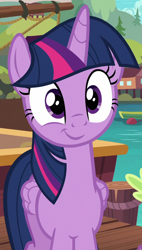 Size: 614x1080 | Tagged: safe, derpibooru import, screencap, twilight sparkle, twilight sparkle (alicorn), alicorn, pony, ppov, cropped, cute, solo