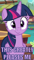 Size: 614x1080 | Tagged: safe, derpibooru import, screencap, twilight sparkle, twilight sparkle (alicorn), alicorn, pony, ppov, solo, this pleases meme