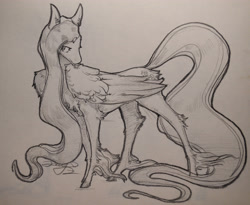 Size: 3814x3120 | Tagged: safe, artist:angusdra, fluttershy, pegasus, pony, female, mare, monochrome, simple background, solo, traditional art