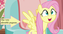 Size: 960x512 | Tagged: safe, edit, edited screencap, screencap, fluttershy, pegasus, pony, discordant harmony, arrow, captain obvious, cropped, cute, excited, meme, shyabetes, text, truth