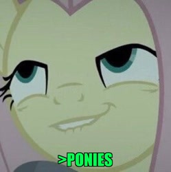 Size: 801x804 | Tagged: safe, edit, edited screencap, screencap, fluttershy, pegasus, pony, scare master, 1000 years in photoshop, brony, caption, cropped, faic, greentext, image macro, impact font, in-universe pegasister, lidded eyes, lip bite, meme, mfw, so much pony, text, zoomed in