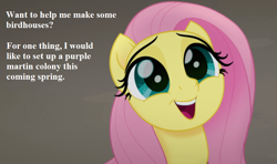 Size: 864x512 | Tagged: safe, edit, edited screencap, screencap, fluttershy, pegasus, pony, my little pony: the movie, bronybait, cropped, cute, dialogue, meme, shyabetes, smiling, solo