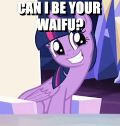 Size: 348x366 | Tagged: safe, derpibooru import, edit, edited screencap, screencap, twilight sparkle, twilight sparkle (alicorn), alicorn, pony, to where and back again, bronybait, cute, faic, image macro, meme, question, solo, waifu