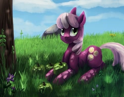 Size: 1075x841 | Tagged: safe, artist:terrac0tta, cheerilee, earth pony, pony, apple, dappled sunlight, female, flower, grass, mare, prone, rock, solo, tree