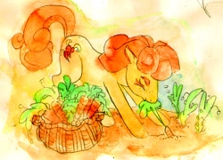 Size: 600x432 | Tagged: safe, artist:muura, carrot top, golden harvest, earth pony, pony, carrot, female, gardening, mare, mouth hold, pulling, solo, traditional art, watercolor painting, working