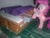 Size: 3264x2448 | Tagged: safe, pinkie pie, earth pony, pony, blind bag, cake, cupcake, display case, everfree customs, food, toy