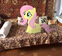 Size: 2736x2448 | Tagged: safe, artist:albertuha, fluttershy, pegasus, pony, carpet, cute, female, irl, mare, photo, ponies in real life, shyabetes, smiling, sofa, solo