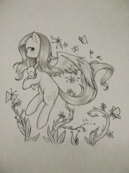 Size: 2449x3266 | Tagged: safe, artist:云观雾里, angel bunny, fluttershy, pegasus, pony, rabbit, female, mare, monochrome, traditional art