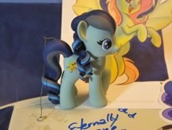 Size: 3648x2736 | Tagged: safe, artist:sanadaookmai, artist:tonyfleecs, coloratura, fluttershy, bat pony, pony, bat ponified, custom, flutterbat, harmonycon 2019, irl, photo, race swap, toy