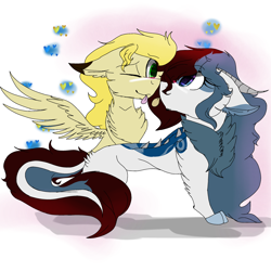 Size: 2560x2560 | Tagged: safe, artist:brokensilence, oc, oc only, oc:mira songheart, oc:noctis, draconequus, pony, :p, chest fluff, cute, draconequified, ear fluff, floppy ears, fluffy, heart, horns, looking at each other, mirabetes, noctira, oc x oc, one eye closed, shipping, shipping fuel, simple background, smiling, species swap, spread wings, tongue out, white background