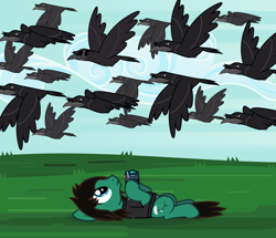 Size: 2704x2324 | Tagged: safe, artist:lightningbolt, derpibooru exclusive, bird, crow, earth pony, pony, .svg available, bring me the horizon, camera, clothes, cloud, cool crow, derpibooru, derpibooru badge, flying, frown, grass, hoof hold, looking up, male, meta, murder of crows, on back, outdoors, ponified, shirt, sky, solo, stallion, sunglasses, svg, t-shirt, tom sykes, vector, wings