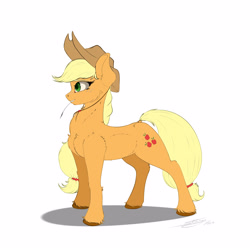 Size: 3000x3000 | Tagged: safe, artist:skitsroom, applejack, earth pony, pony, applejack's hat, cowboy hat, female, hat, mare, simple background, solo, white background