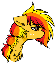 Size: 482x545 | Tagged: safe, artist:moonabelle, oc, oc only, oc:autumn falls, earth pony, pony, bust, chest fluff, female, magical lesbian spawn, mare, offspring, parent:applejack, parent:rainbow dash, parents:appledash, portrait, simple background, solo, white background