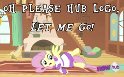 Size: 1018x634 | Tagged: safe, edit, edited screencap, screencap, fluttershy, pegasus, pony, hurricane fluttershy, bathrobe, caption, clothes, dialogue, female, fluttershy's cottage, hub logo, image macro, mare, meme, robe, television logo joke, text