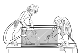 Size: 1849x1273 | Tagged: safe, artist:nobody, oc, oc only, oc:alex, oc:kimmy and mera, fish, satyr, aquarium, monochrome, offspring, parent:chimera sisters, parent:gilda