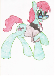 Size: 1700x2338 | Tagged: safe, artist:wyren367, oc, oc only, oc:scratch build, colored pencil drawing, glasses, raised hoof, simple background, solo, traditional art, white background