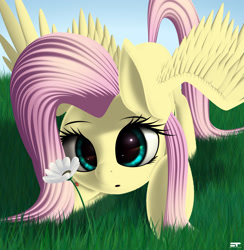 Size: 2370x2430 | Tagged: safe, artist:styroponyworks, fluttershy, ladybug, pegasus, pony, cute, female, flower, grass, looking at something, mare, shyabetes, solo, spread wings, wings