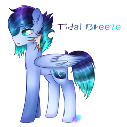 Size: 1024x1024 | Tagged: safe, artist:northlights8, oc, oc only, oc:tidal breeze, pegasus, pony, male, offspring, parent:rainbow dash, parent:soarin', parents:soarindash, simple background, solo, stallion, white background