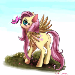 Size: 1600x1600 | Tagged: safe, artist:caliluminos, fluttershy, butterfly, pegasus, pony, blushing, cute, ear fluff, female, lidded eyes, looking at something, mare, shyabetes, solo, three quarter view, wings