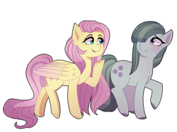 Size: 3300x2462 | Tagged: safe, artist:emera33, fluttershy, marble pie, earth pony, pegasus, pony, cute, female, looking at each other, mare, shyabetes, simple background, smiling