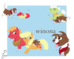 Size: 2500x2000 | Tagged: safe, artist:poowndraww, apple bloom, applejack, big macintosh, granny smith, winona, earth pony, pony, adorabloom, cute, female, filly, male, mare, stallion