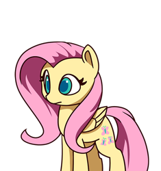 Size: 600x638 | Tagged: safe, artist:lilfunkman, fluttershy, pegasus, pony, colored pupils, cute, female, mare, shyabetes, simple background, solo, transparent background