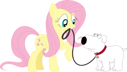 Size: 3569x2040 | Tagged: safe, artist:porygon2z, fluttershy, pegasus, pony, brian griffin, crossover, family guy