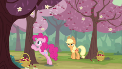 Size: 1280x720 | Tagged: safe, screencap, applejack, pinkie pie, earth pony, pony, the last roundup, basket, cherry, cherry orchard, cherry tree, duo, female, food, helping, mare, orchard, smiling, suspicious, tree, yellow cherry