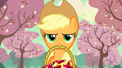 Size: 1440x808 | Tagged: safe, screencap, applejack, earth pony, pony, the last roundup, annoyed, basket, cherry, cherry orchard, cherry tree, female, food, mare, mouth hold, orchard, solo, tree, working, yellow cherry