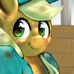 Size: 1536x1536 | Tagged: safe, artist:kurogewapony, applejack, earth pony, pony, female, looking at you, mare, solo