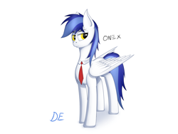 Size: 2000x1500 | Tagged: safe, artist:dedelner, oc, oc only, pegasus, pony, male, necktie, simple background, solo, stallion, white background