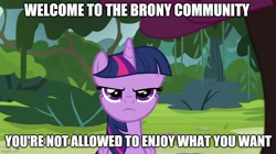 Size: 888x499 | Tagged: safe, edit, edited screencap, screencap, twilight sparkle, twilight sparkle (alicorn), alicorn, the mean 6, brony stereotype, caption, drama, forest, image macro, meme, meta, op is a cuck, op is trying to start shit, solo, text
