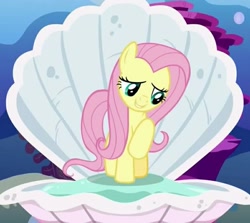 Size: 735x655 | Tagged: safe, screencap, fluttershy, pegasus, pony, fame and misfortune, cropped, flawless, ocean, shell, solo