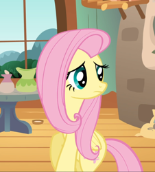 Size: 848x938 | Tagged: safe, screencap, fluttershy, pegasus, pony, hurricane fluttershy, bipedal, cropped, female, looking back, mare, solo