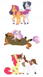Size: 1024x1828 | Tagged: safe, artist:colourstrike, apple bloom, button mash, pipsqueak, rumble, scootaloo, sweetie belle, classical unicorn, earth pony, pegasus, pony, unicorn, blushing, chest fluff, cloven hooves, colored hooves, colored wings, colored wingtips, cutie mark, cutie mark crusaders, female, leonine tail, male, older, older apple bloom, older button mash, older rumble, older scootaloo, older sweetie belle, piebald colouring, pipbloom, rumbloo, shipping, simple background, stallion, straight, sweetiemash, tail seduce, the cmc's cutie marks, unshorn fetlocks, white background