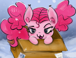 Size: 3137x2378 | Tagged: source needed, safe, artist:cookiedesu, pinkie pie, pony, box, ponk, snow