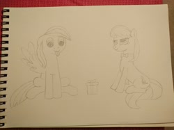 Size: 4056x3040 | Tagged: safe, artist:bluetec, octavia melody, oc, oc:bluetec, earth pony, pegasus, pony, female, gift giving, male, mare, stallion, tongue out, traditional art