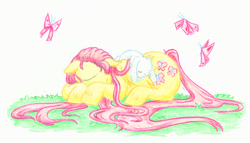 Size: 900x516 | Tagged: safe, artist:mu-tsu, angel bunny, fluttershy, butterfly, pegasus, pony, rabbit, cutie mark, duo, female, folded wings, long hair, long tail, male, mare, outdoors, prone, simple background, sleeping, stray strand, traditional art, unshorn fetlocks, white background, wings