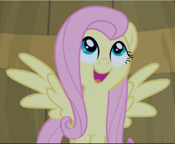 Size: 1143x943 | Tagged: safe, screencap, fluttershy, pegasus, pony, filli vanilli, barrel, cropped, cute, female, looking up, mare, open mouth, shyabetes, smiling, solo, spread wings, wings