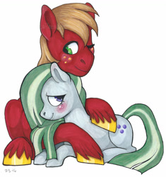 Size: 1600x1702 | Tagged: safe, artist:whisperseas, big macintosh, marble pie, earth pony, pony, blushing, cuddling, male, marblemac, one eye closed, shipping, simple background, stallion, straight, traditional art, unshorn fetlocks, white background