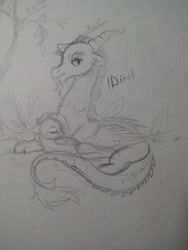 Size: 3120x4160 | Tagged: safe, artist:dinoalpaka, discord, fluttershy, pegasus, pony, canon, discoshy, female, male, rcf community, shipping, sketch, straight, traditional art, wings