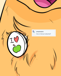 Size: 1200x1500 | Tagged: safe, artist:heir-of-rick, applejack, earth pony, pony, apple, ask, button, chest fluff, close-up, female, food, mare, open mouth, solo, that pony sure does love apples, tumblr