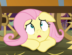 Size: 1121x852 | Tagged: safe, screencap, fluttershy, pegasus, pony, scare master, cropped, female, floppy ears, hiding, looking up, mare, scared, solo, wide eyes