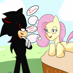 Size: 2000x2000 | Tagged: safe, artist:soul-yagami64, fluttershy, pegasus, pony, crossover, shadow the hedgehog, sonic the hedgehog (series)