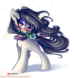 Size: 1000x1048 | Tagged: safe, artist:chaosangeldesu, octavia melody, earth pony, pony, blushing, cute, female, flower, flower in mouth, looking at you, mare, mouth hold, patreon, patreon logo, smiling, solo, tavibetes