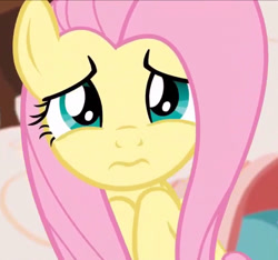 Size: 760x712 | Tagged: safe, screencap, fluttershy, pegasus, pony, discordant harmony, 3:, cropped, cute, female, looking at you, shyabetes, solo