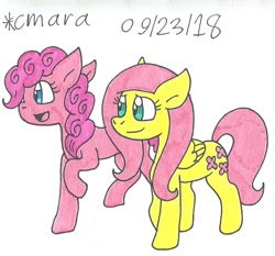 Size: 893x833 | Tagged: safe, artist:cmara, fluttershy, pinkie pie, pegasus, pony, traditional art