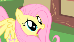 Size: 1280x720 | Tagged: safe, screencap, fluttershy, pegasus, pony, party of one, cute, female, scared, shyabetes, solo